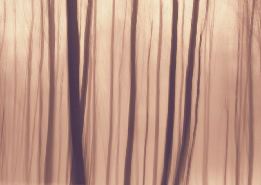 Forêt impressionniste abstraite