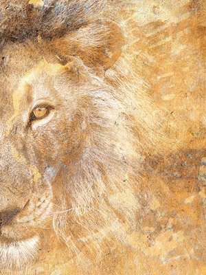 Poster: Golden Simba del 2