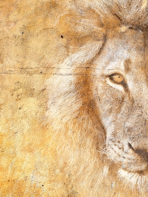 Poster: Golden Simba Del 1