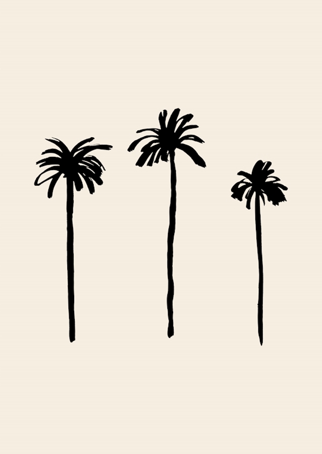 Palm Trees