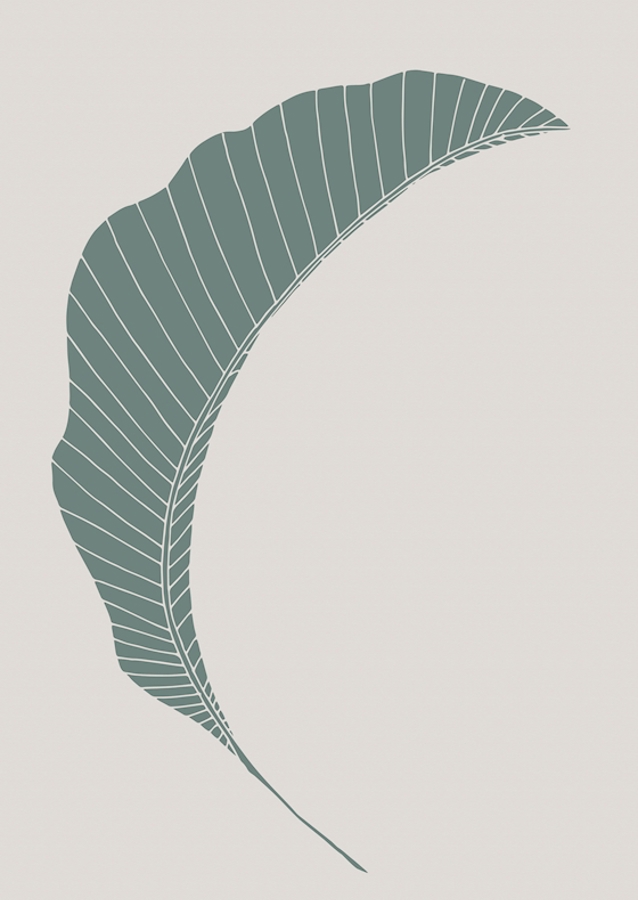 Banánový list zelený