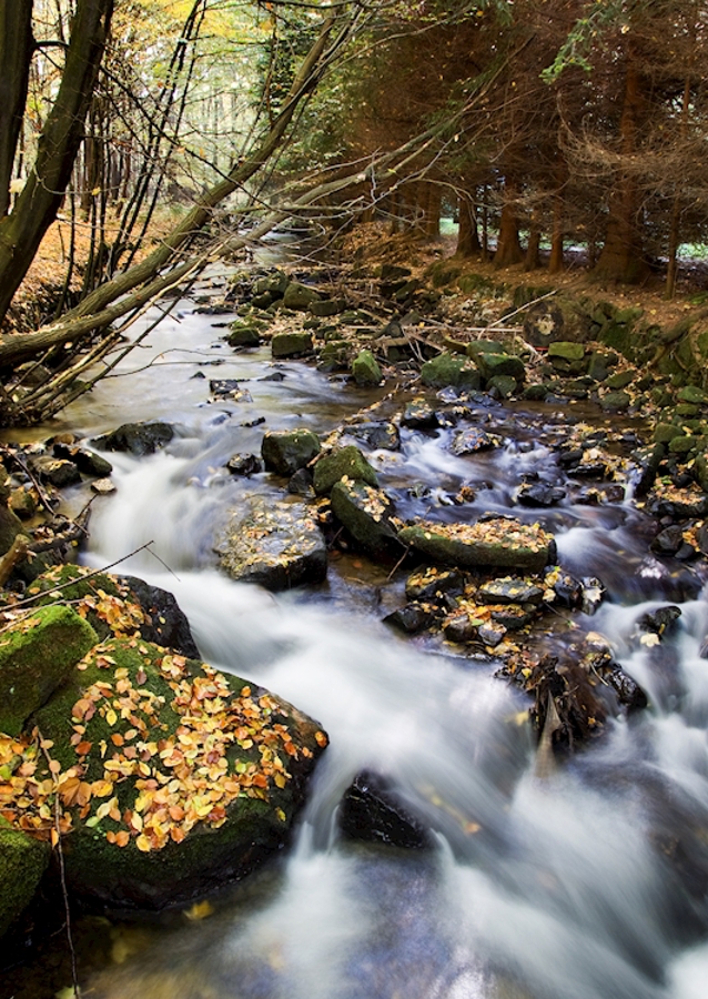 Horský potok na podzim