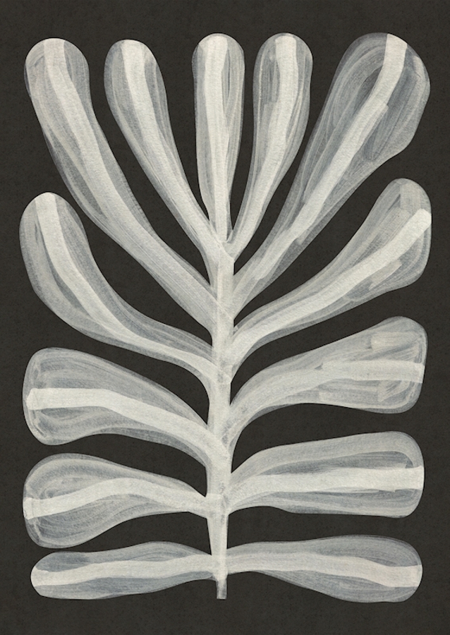 Pianta monocromatica