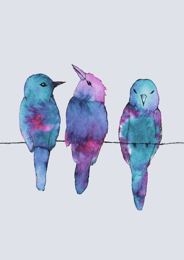  Three birds on a wire	