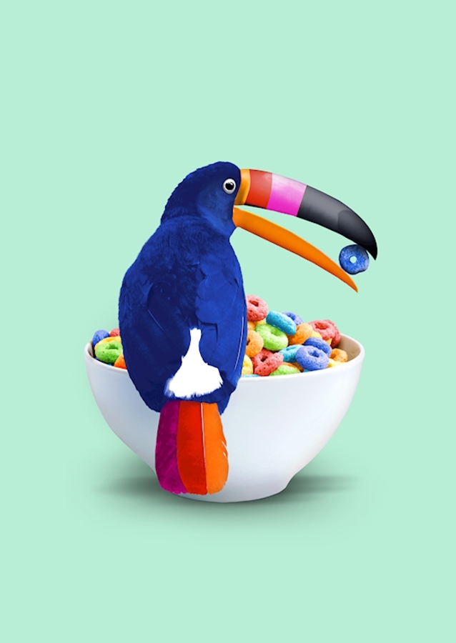 Cereal Toucan