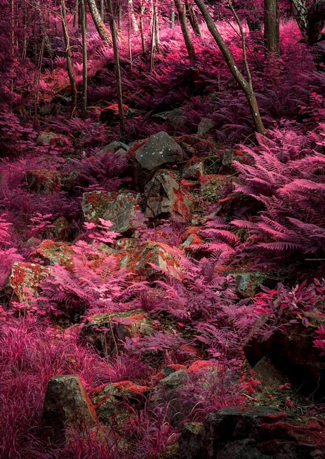 Außerirdische Landschaft