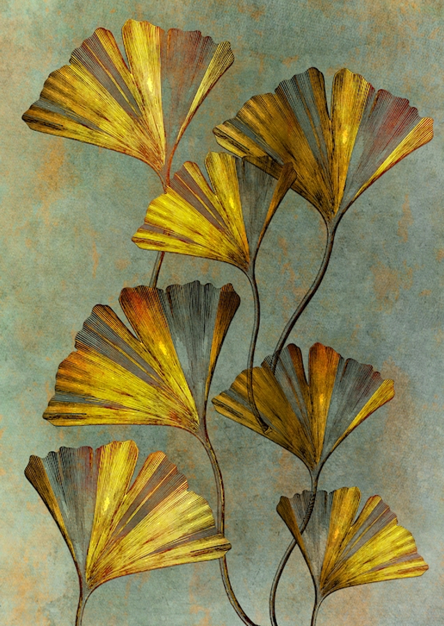 Ginkgo biloba umění