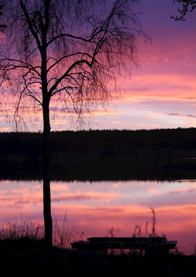 Purple morning by the lakeside