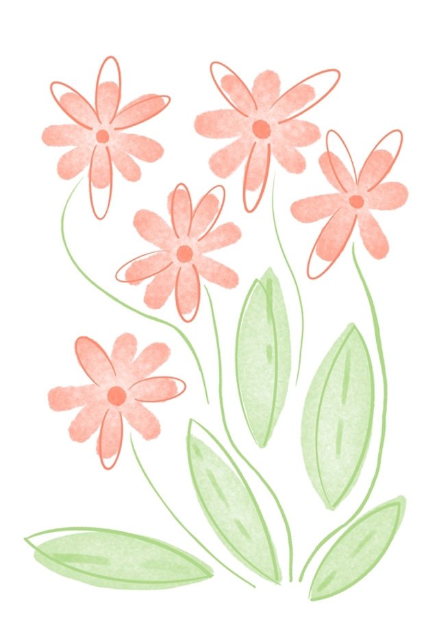 Bunch of summer flowers