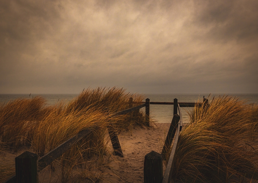 Widok na Morze Bałtyckie Graal-Müritz