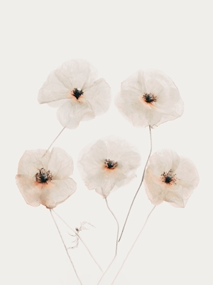 Poster: Fine Art Beige Bloemen