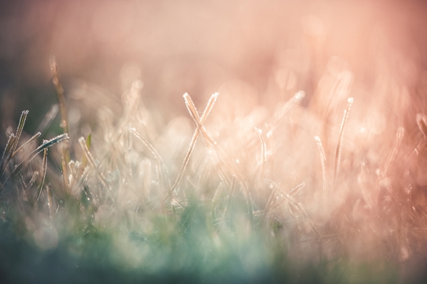 Poster: Quand le premier rhume arrive - Ulrica Hållén