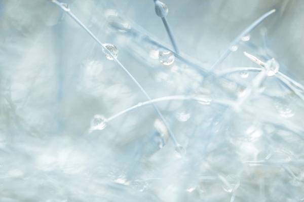 Poster: Si petit que nous sommes presque à l’écart - Ulrica Hållén