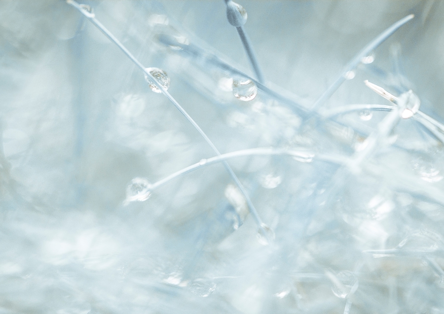 Si petit que nous sommes presque à l’écart