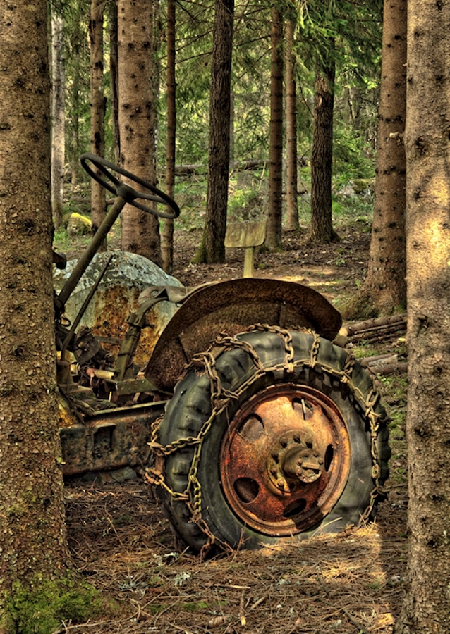 Abandoned traktor in forest